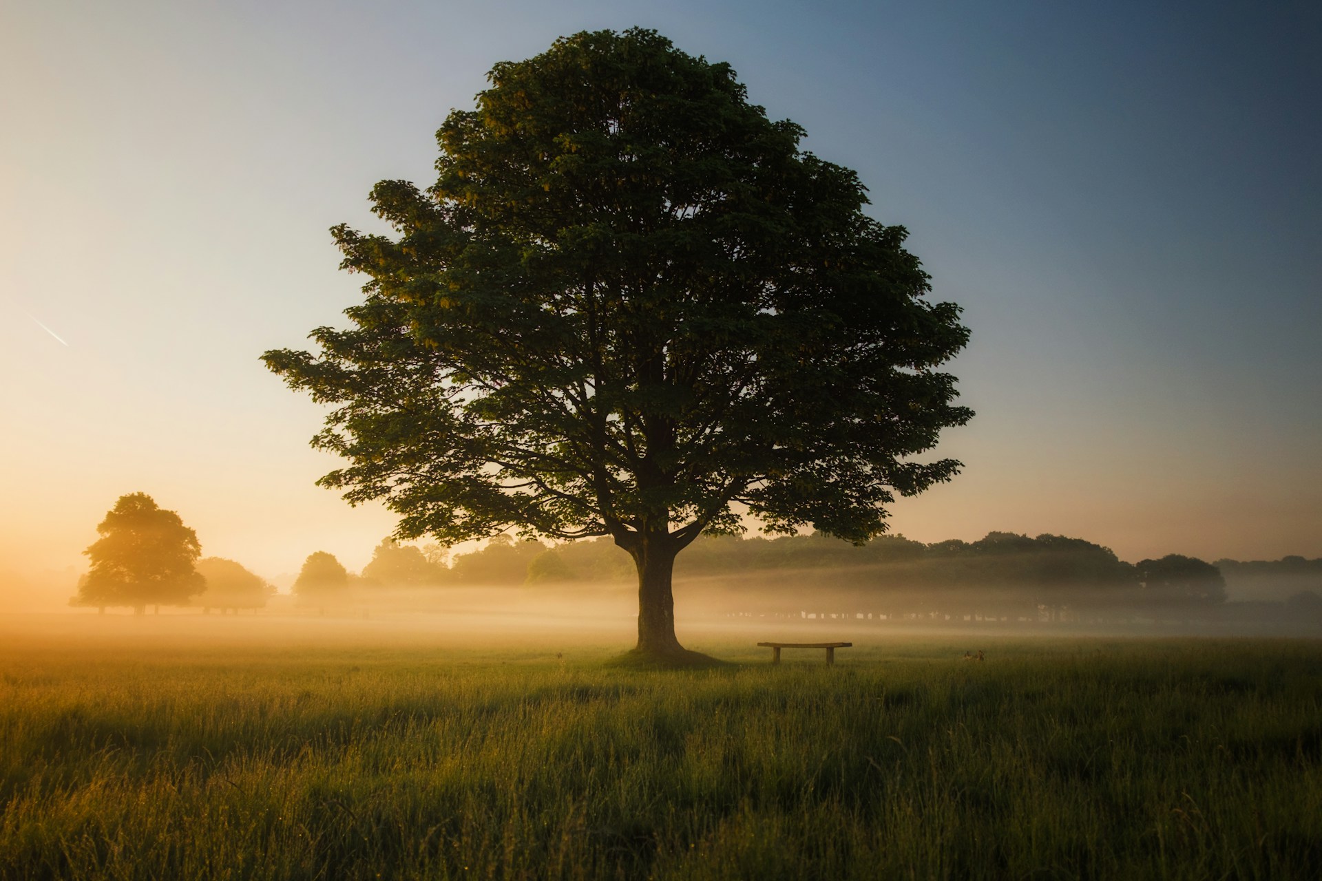 How Historical Wisdom Helps Navigate Today’s Information Overload